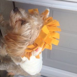 cowardly lion dog costume by top paw size medium